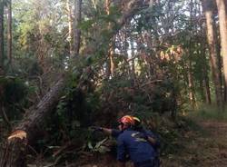 Volontari Parco Ticino Golasecca