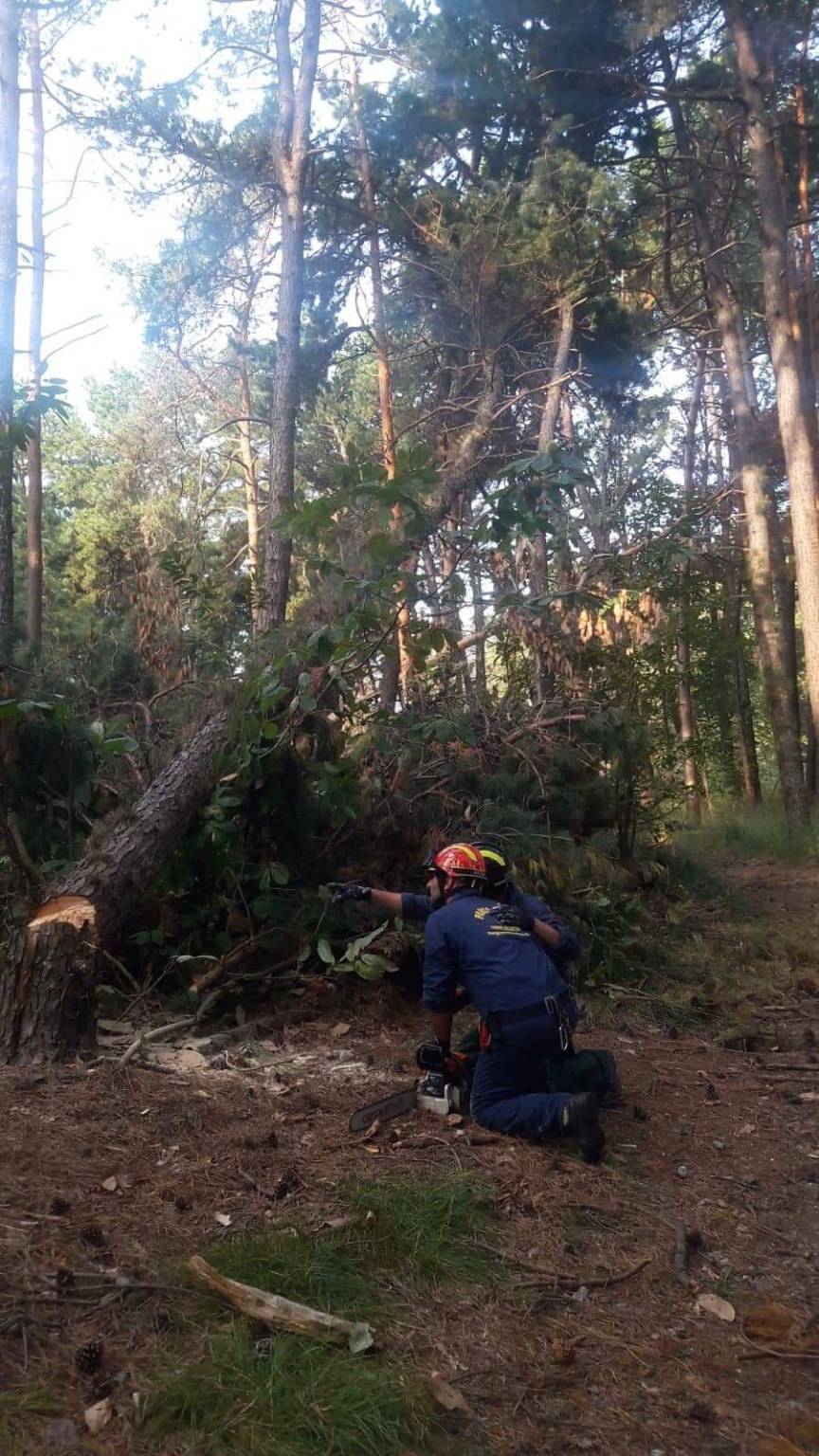 Volontari Parco Ticino Golasecca 