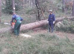 Volontari Parco Ticino Golasecca