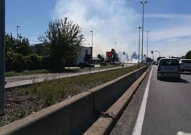 Vento in citta, incendio sulla Sp12 e albero abbattuto al parco