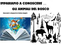 animali del bosco