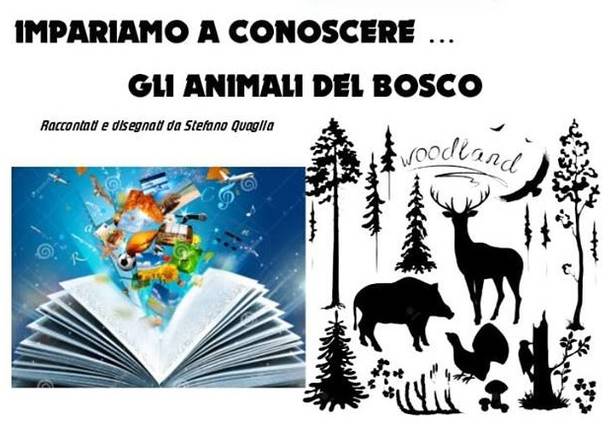 Conoscere Gli Animali Del Bosco Con Disegni E Letture