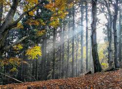 autunno al Campo dei Fiori 