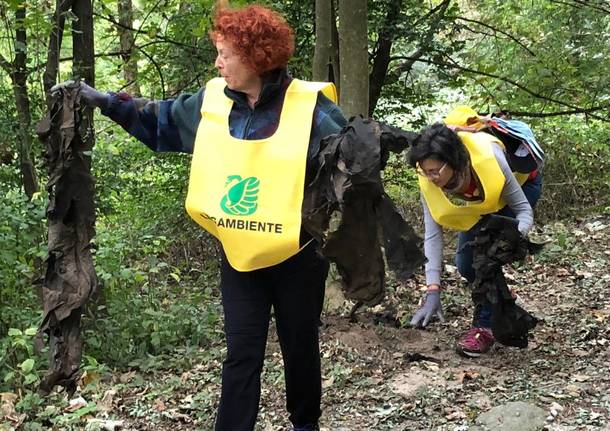 Puliamo il Mondo 2018 a Galliate Lombardo