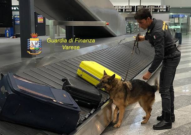 Operazione Black Snow, sequestrati 18 kg di cocaina