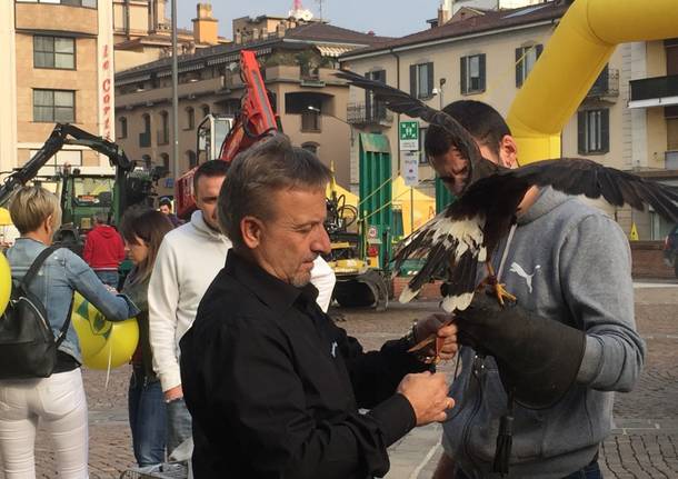 Bosco in città