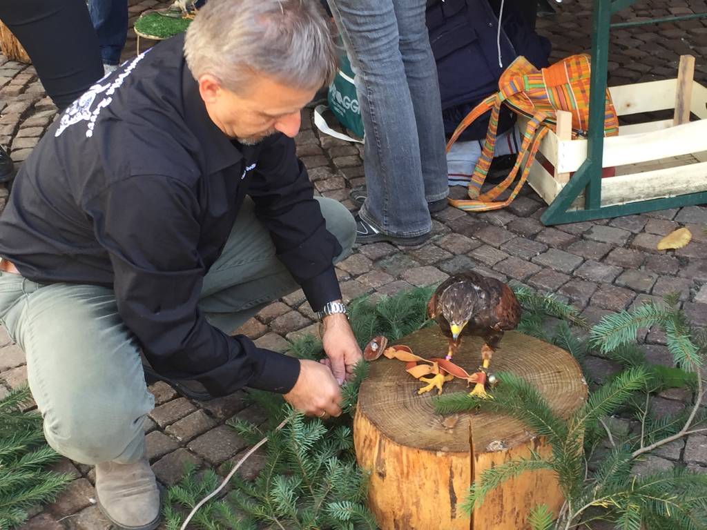 Bosco in città 