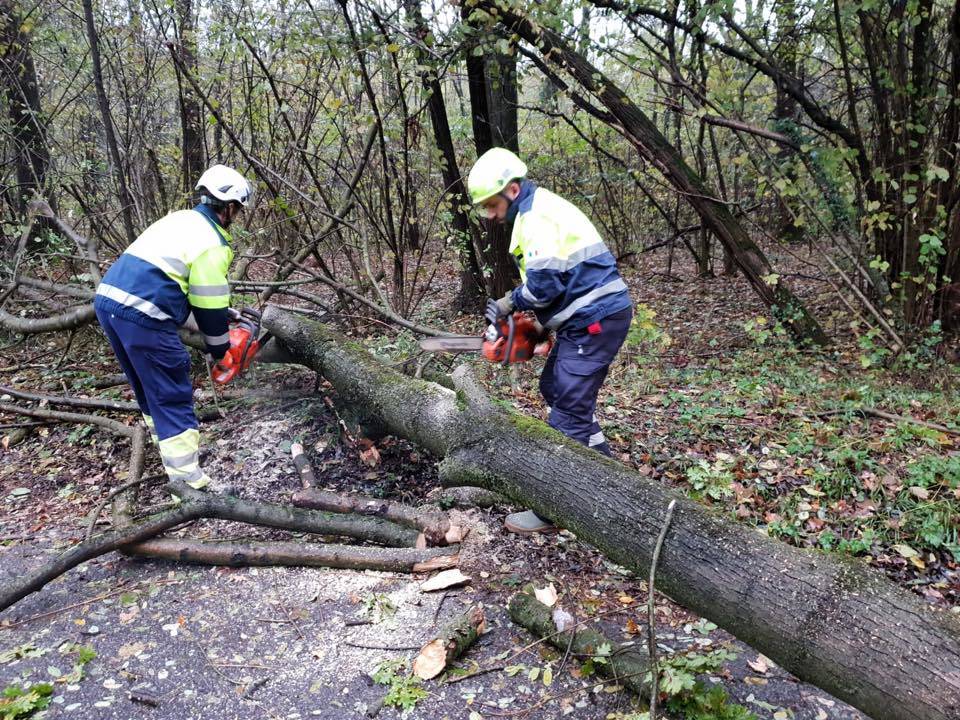 Cantello - Protezione civile al lavoro