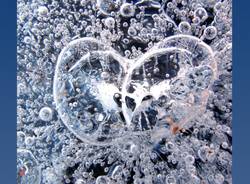 ACQUA: FORMA E COLORE