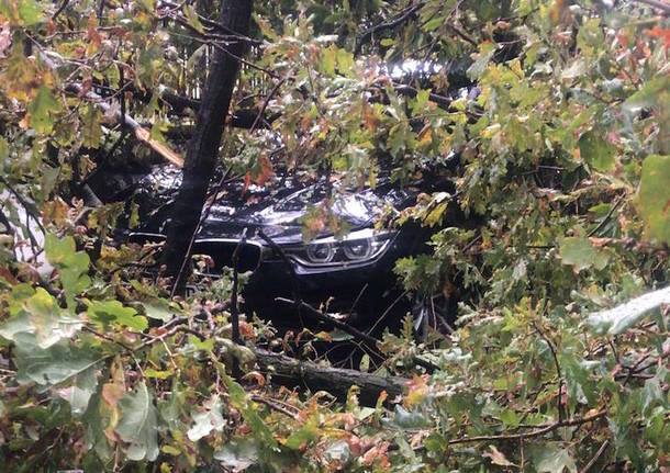 Alberi sulle auto a Brezzo di Bedero