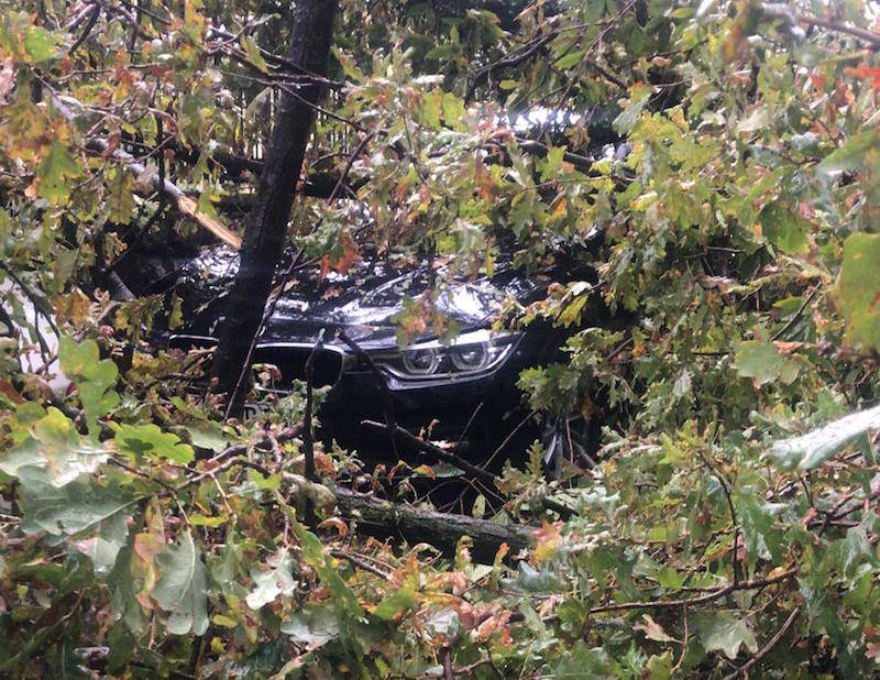 Alberi sulle auto a Brezzo di Bedero