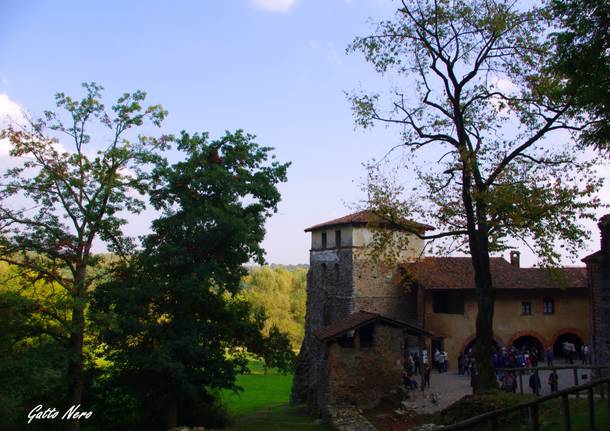 Giornata del FAI - Monastero di Torba