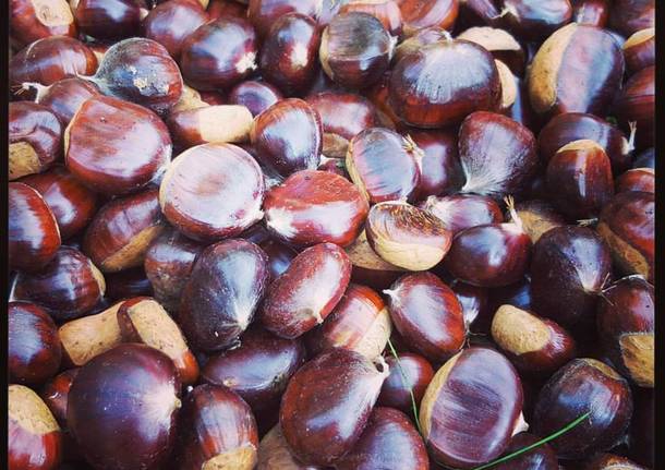 castagne