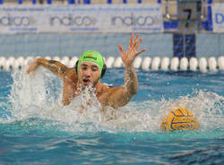 edoardo di somma pallanuoto bpm busto sport management