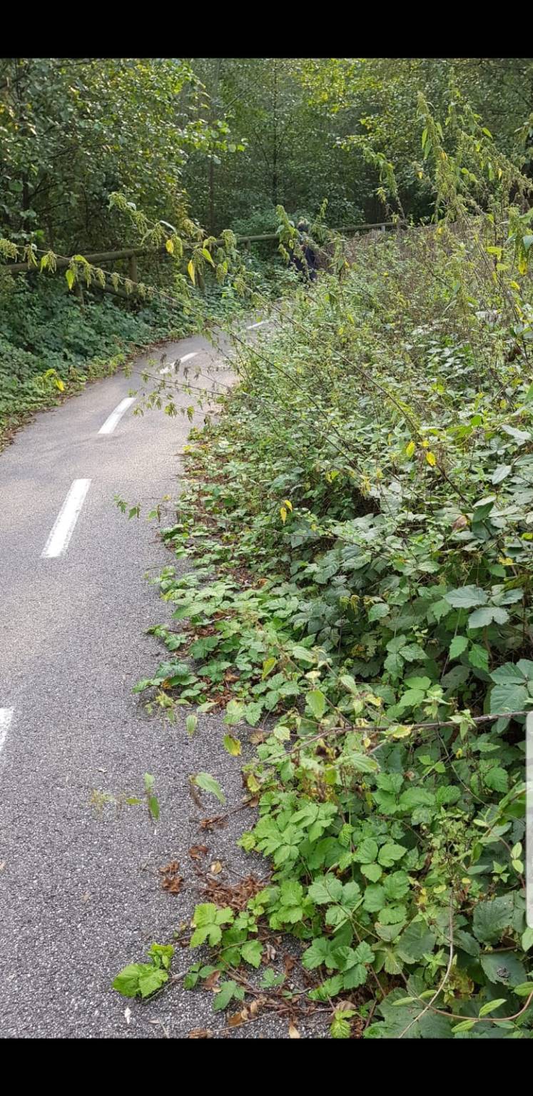 Erbacce sulla ciclabile a Gazzada Schianno