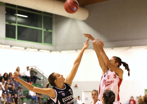 francesca cassani basket scs varese