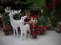 Il Paese di Natale 2018