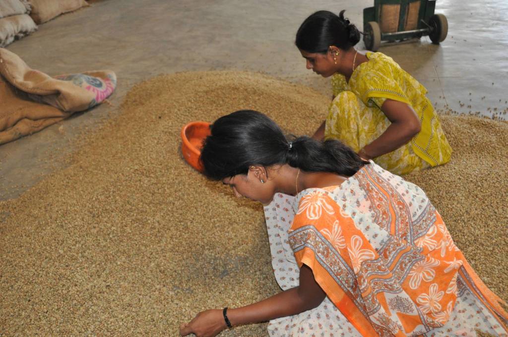 In viaggio col mercante: India, quarta parte