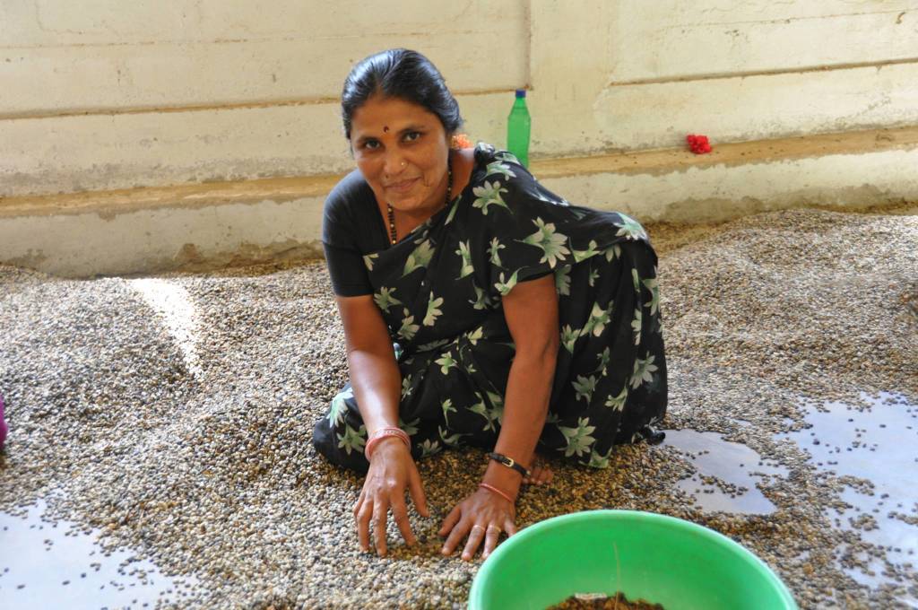 In viaggio col mercante: India, quarta parte