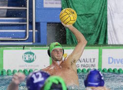 luca damonte pallanuoto busto bpm sport management