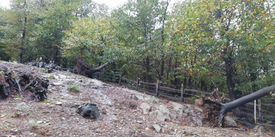 Maltempo, danni al Rifugio Animali Felici di Brissago Valtravaglia