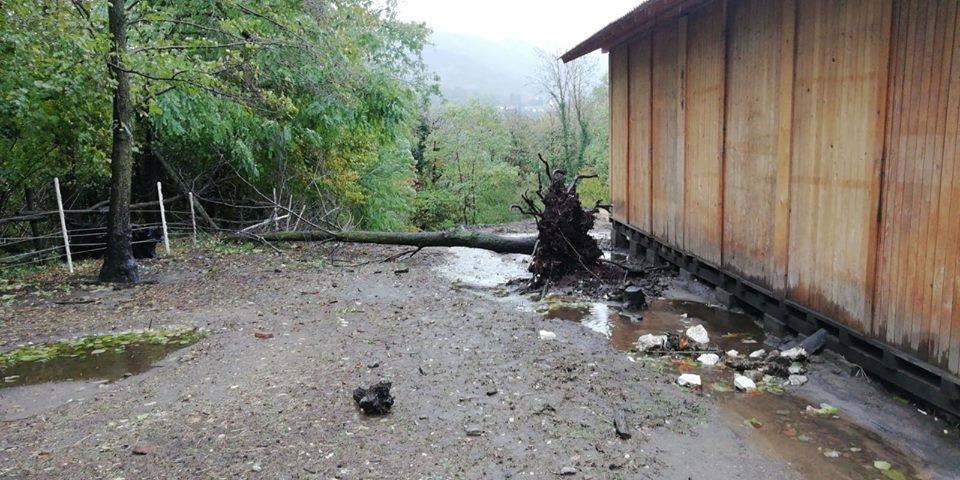 Maltempo, danni al Rifugio Animali Felici di Brissago Valtravaglia