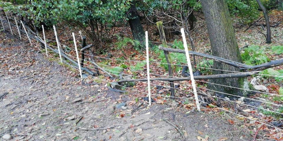 Maltempo, danni al Rifugio Animali Felici di Brissago Valtravaglia
