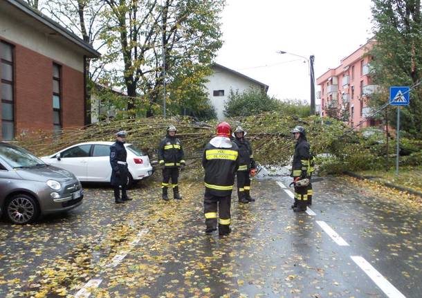 Maltempo sul Varesotto