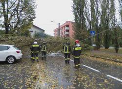 Maltempo sul Varesotto