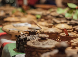 mercatini di natale in val vigezzo