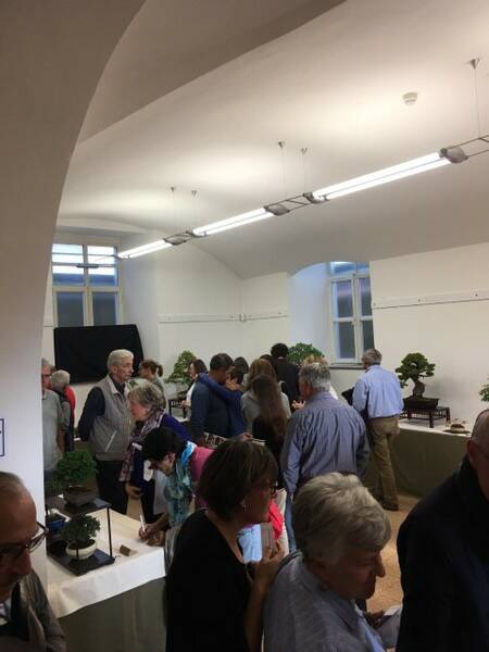 MOSTRA BONSAI 1