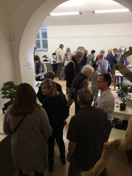 MOSTRA BONSAI 2