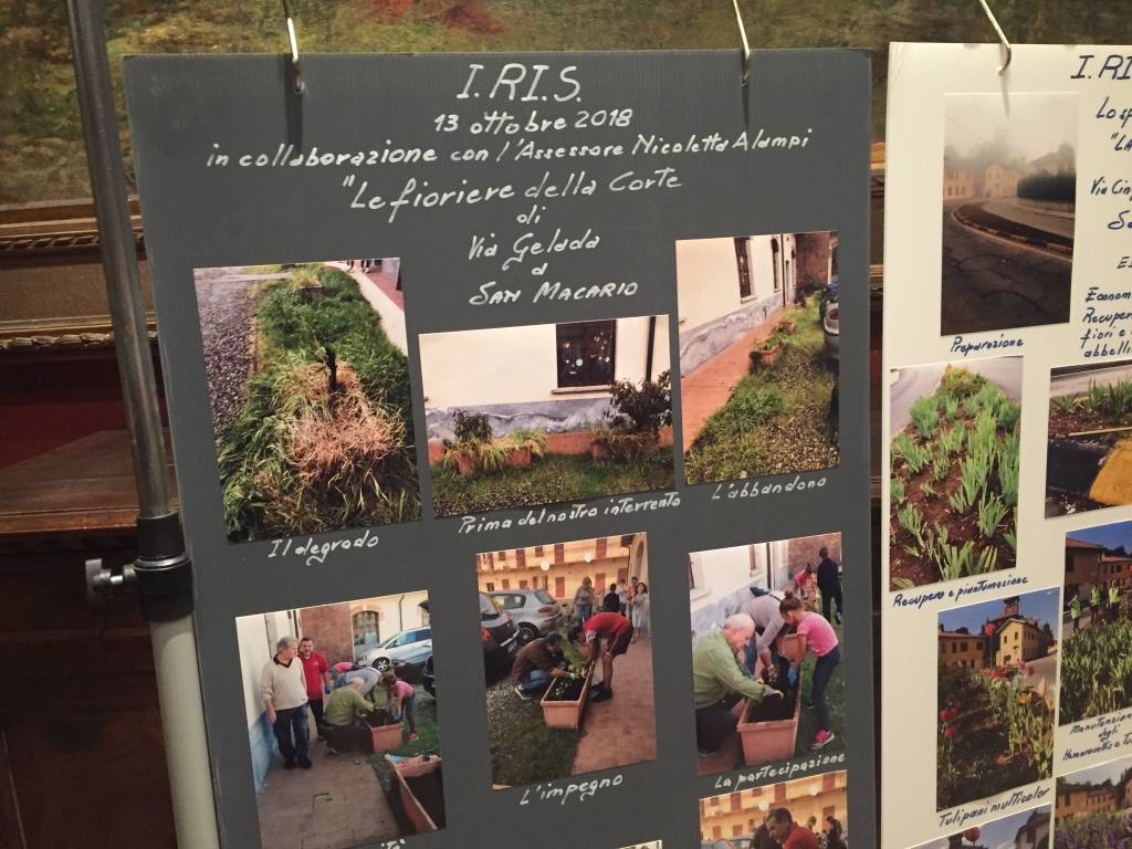 Serata Iris Samarate