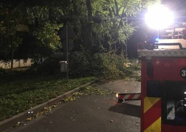 Vento forte: Vigili del Fuoco in azione nell’Altomilanese