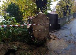 Albero cade a Gemonio