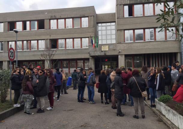 Busto generiche
