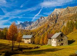 Il foliage autunnale sulle nostre Alp