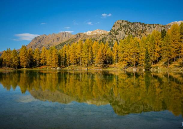 Il foliage autunnale sulle nostre Alpi