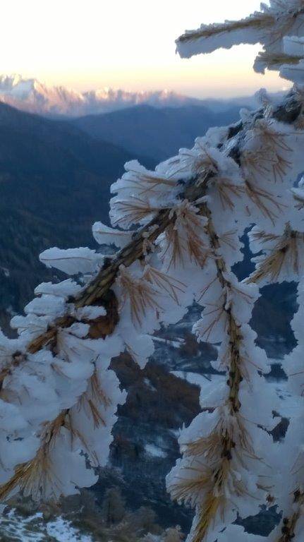 Dopo la nevicata....