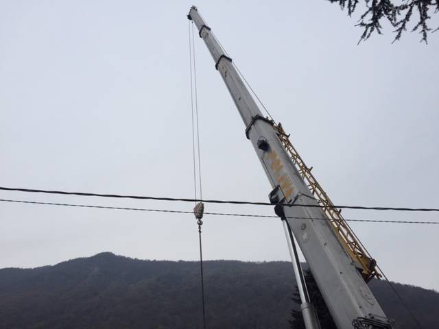 Da Cittiglio l\'enorme albero che illuminerà Roma