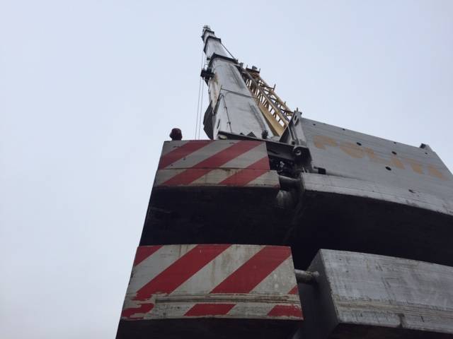 Da Cittiglio l\'enorme albero che illuminerà Roma