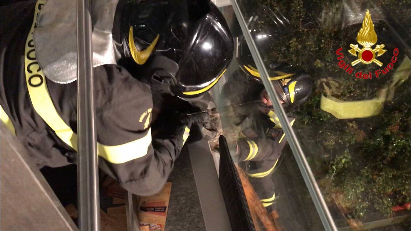 Il gatto incastrato salvato