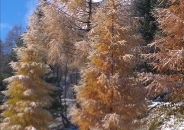 Autunno in  montagna