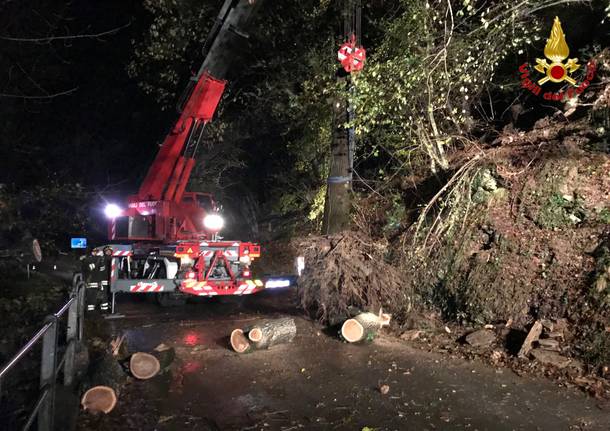 Albero sulla provinciale a Rancio Valcuvia