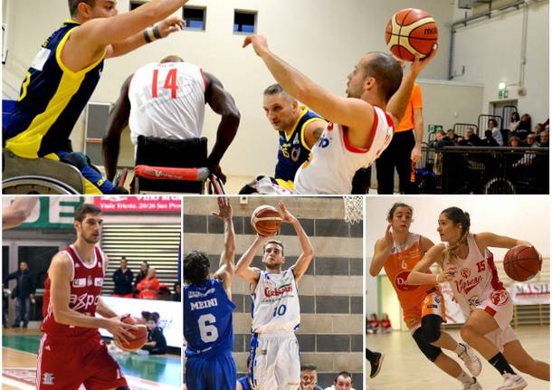 collage basket 2018