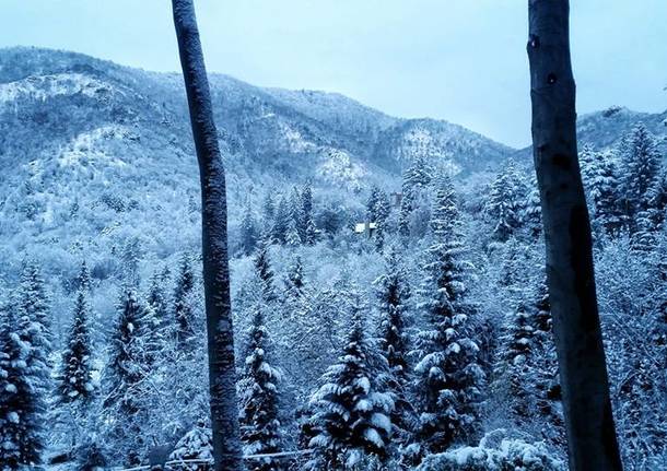 Un martedì mattina di neve