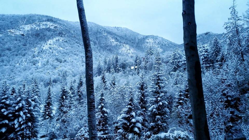 Cuasso al Monte - foto di Andrea Betti