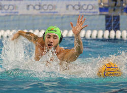 edoardo di somma pallanuoto busto bpm