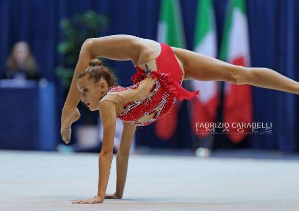 Ginnastica Moderna a Desio – di Fabrizio Carabelli