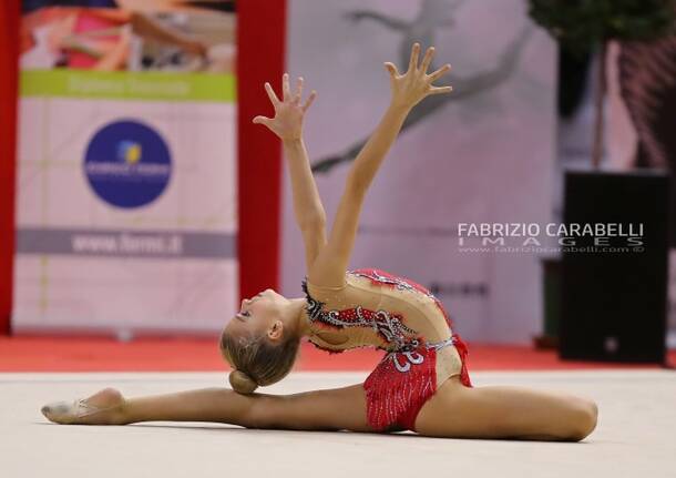Ginnastica Moderna – di Fabrizio Carabelli